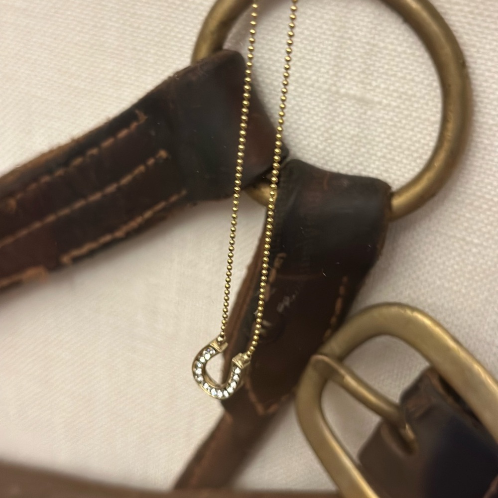 Pave Gold and Silver Lucky Horseshoe Pendant Necklace